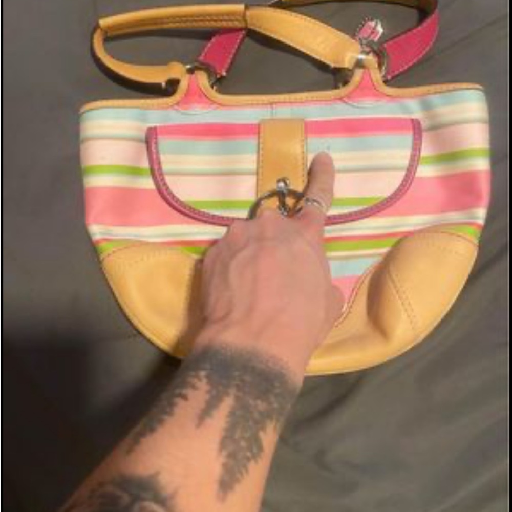 Coach Hampton Multi Color handBag